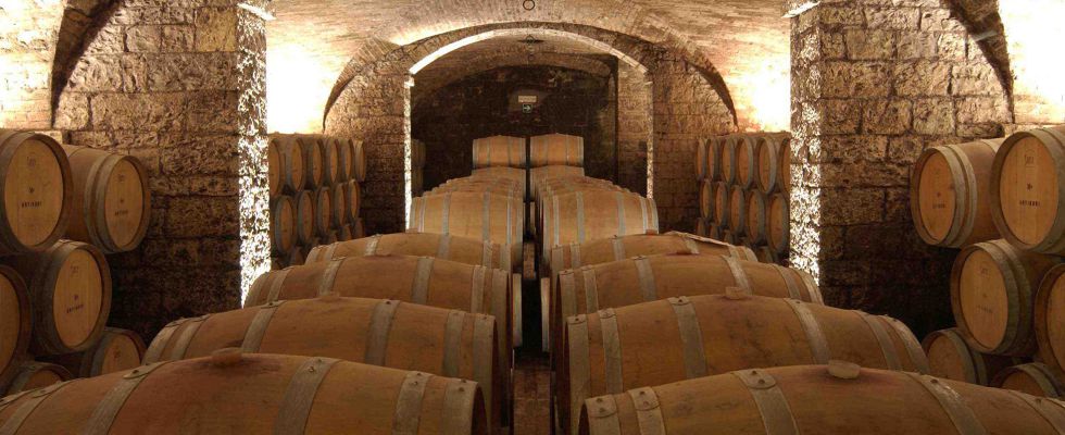 chianti botti di vino