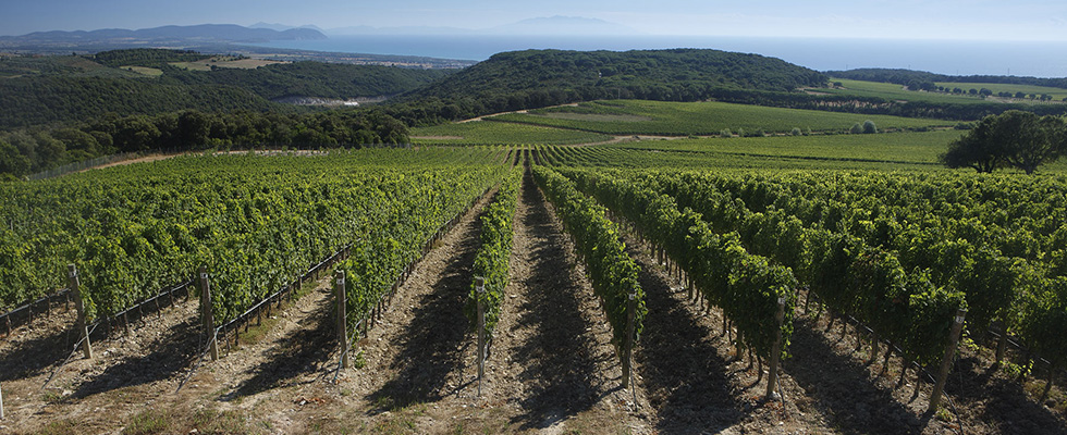 maremma toscana slide